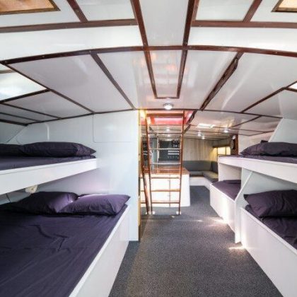 Apollo - Share Double Beds