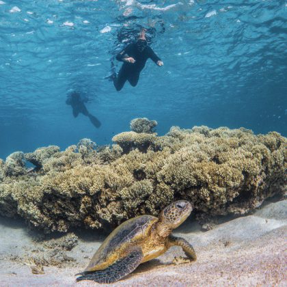 DIve in Australia - Ningaloo Reef