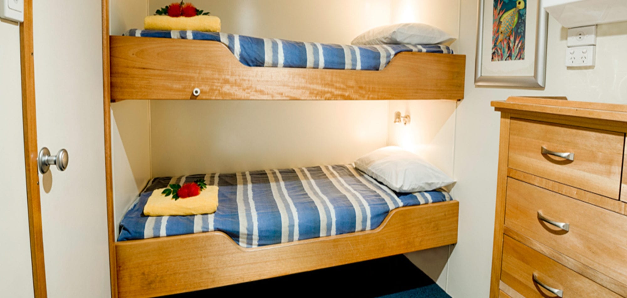 Mike Ball dive holiday - bunks in budget cabin