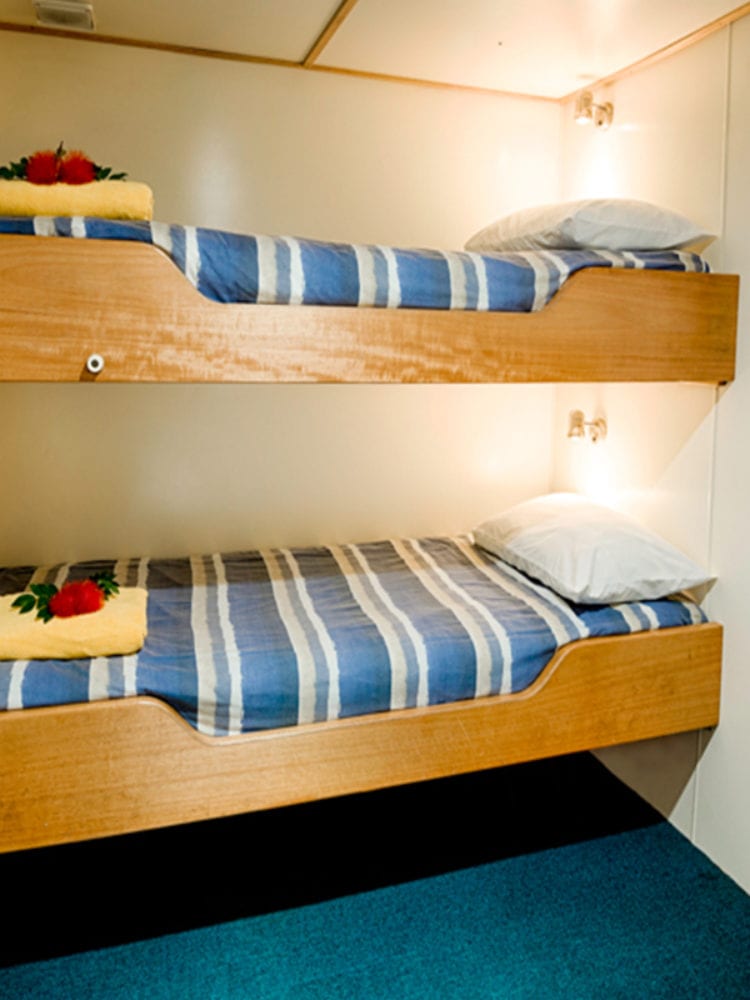 Mike Ball dive holiday - bunks in budget cabin