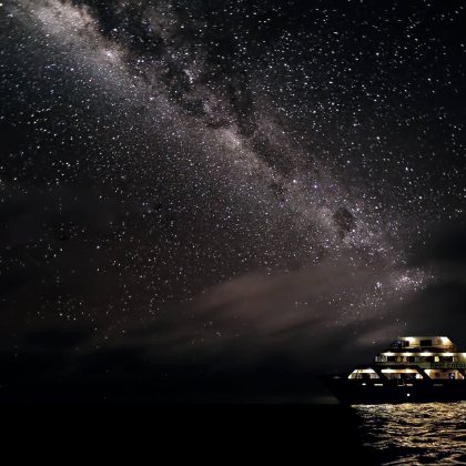 Reef-Ecnounter-By-night