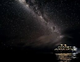 Reef Encounter - Night Sky
