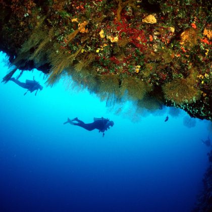 Osprey Reef, Coral Sea Australia