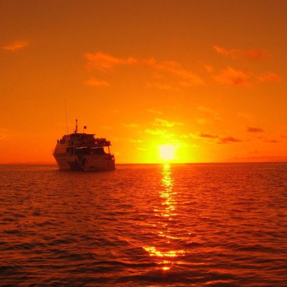 Scuba Diving Liveaboards at Australia's Great Barrier Reef