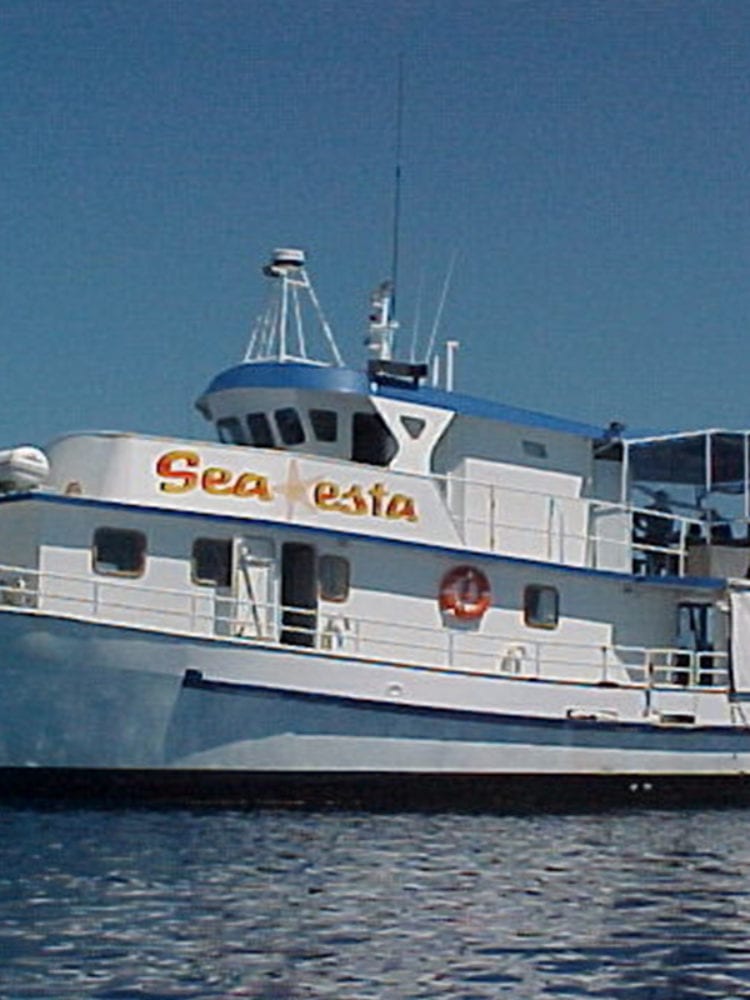 Scuba diving in Australia - Sea Esta livaboard vessel
