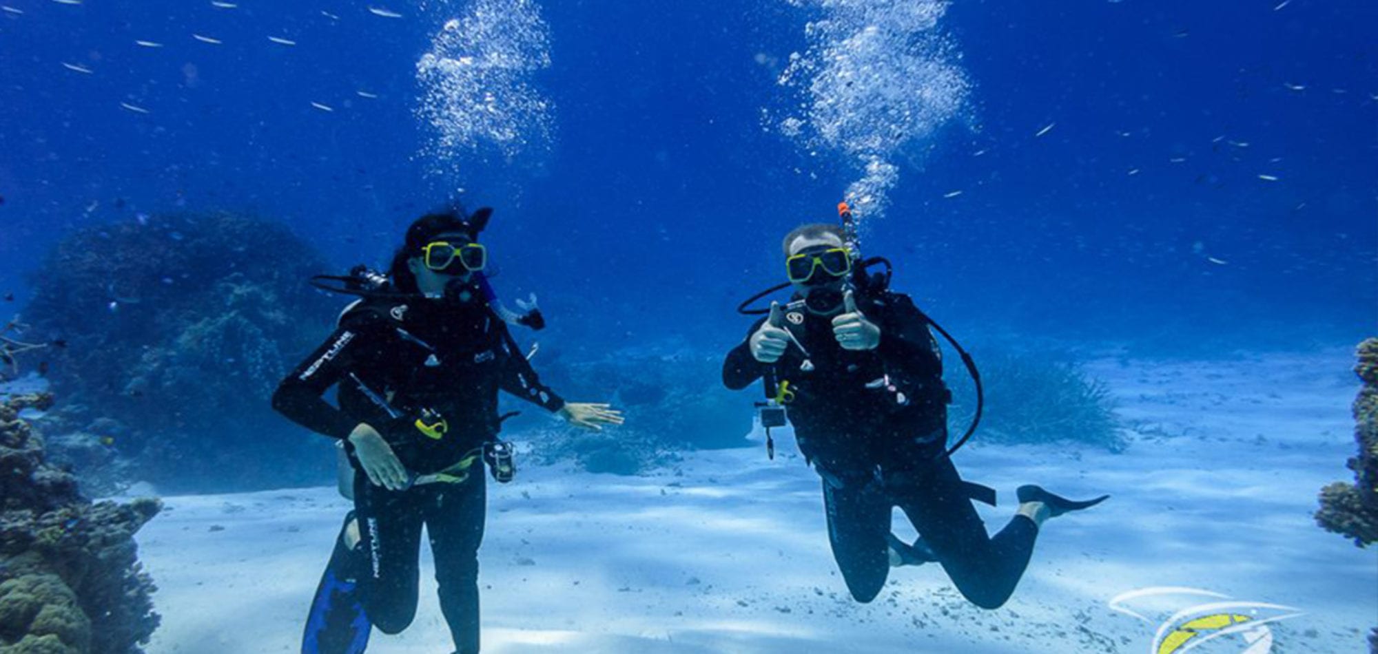 Sea Esta scuba diving trip - Divers on Flinders reef