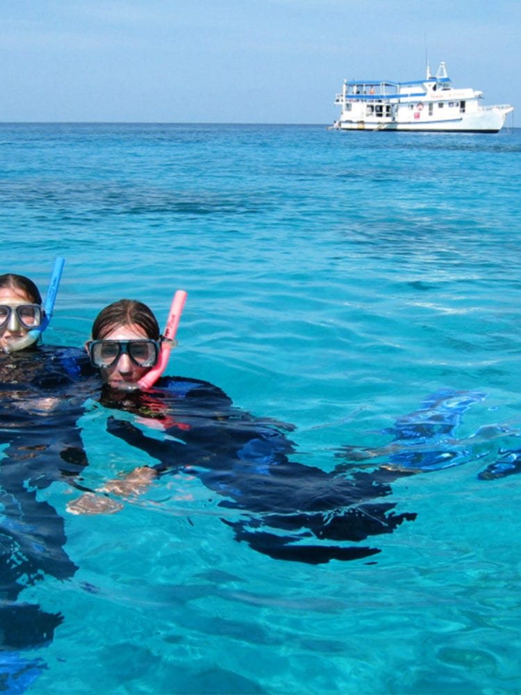 Snorkelling in Australia - Snorkellers in the water from Sea Esta ship