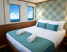 Spirit of Freedom Cabin-Ocean-View-Deluxe