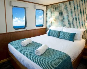 Spirit of Freedom Cabin-Ocean-View-Deluxe