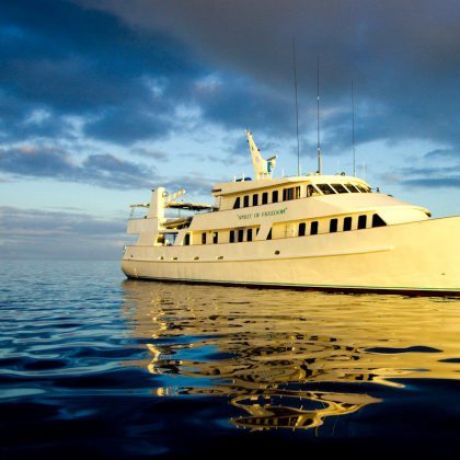 Spirit of Freedom - Vessel