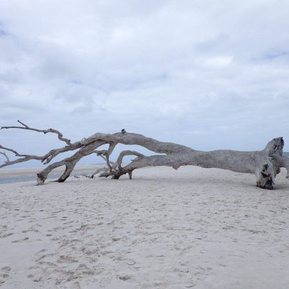 Whitehaven Beach, Whitsunday Islands