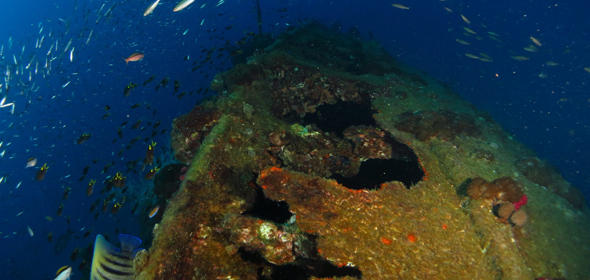 Dive in Australia - Yongala Shipwreck