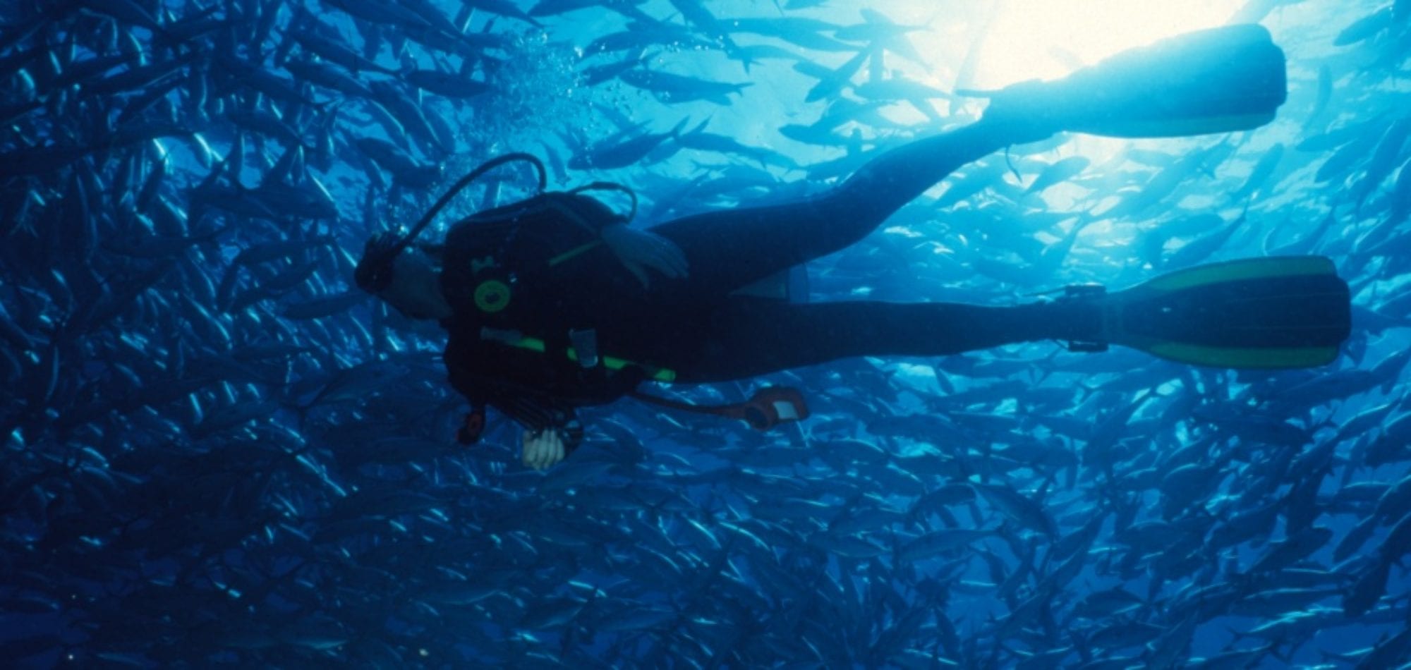 Scuba dive Australia - diver on the Great Barrier Reef, Australia