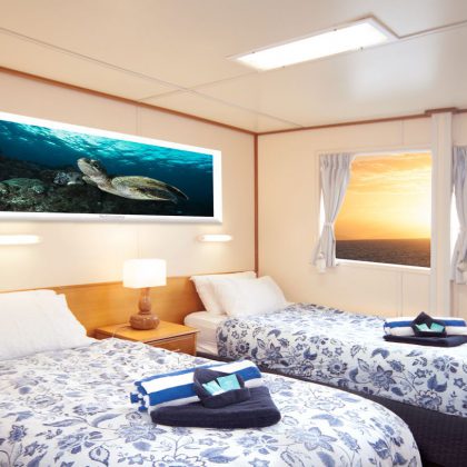 Reef Encounter Twin Stateroom