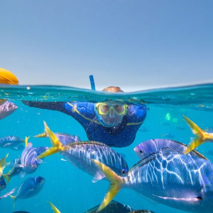Cruise Whitsundays Snorkel