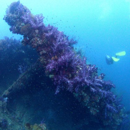 SS Yongala Shipwreck