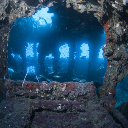 SS Yongala Shipwreck Dive