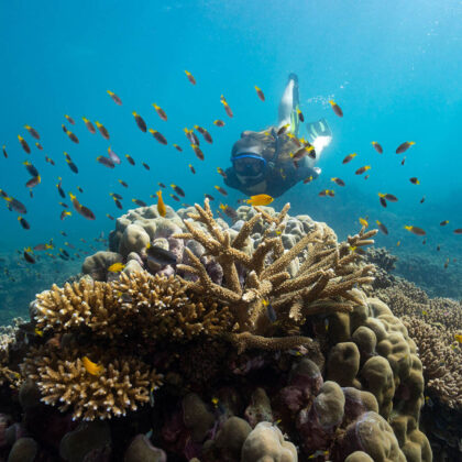 Snorkel-the-Great-Barrier-Reef-Frankland-Island