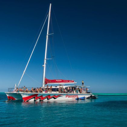 passions of paradise