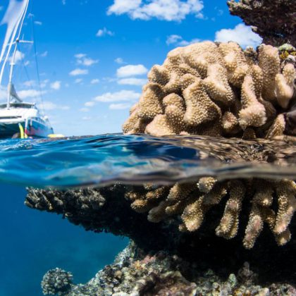 passions of paradise