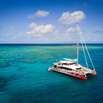 passions of paradise aerial