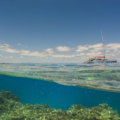 passions of paradise reef
