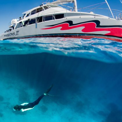 passions of paradise snorkelling