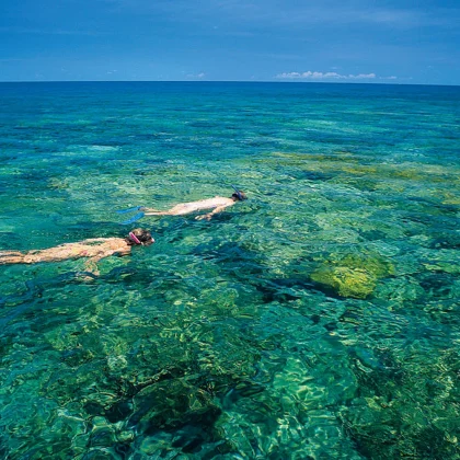 snorkeler_coral-frankland-islands
