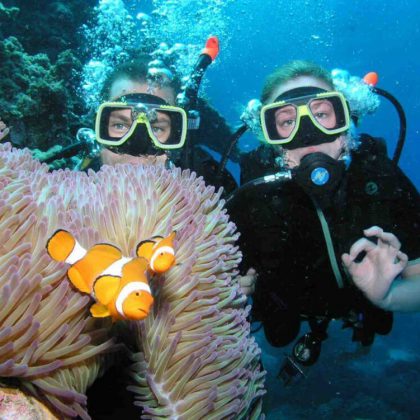 Pro Dive Cairns feature image