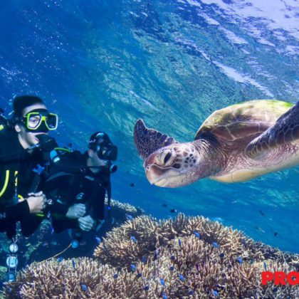 PADI Learn to Dive Cairns Great Barrier Reef (3)