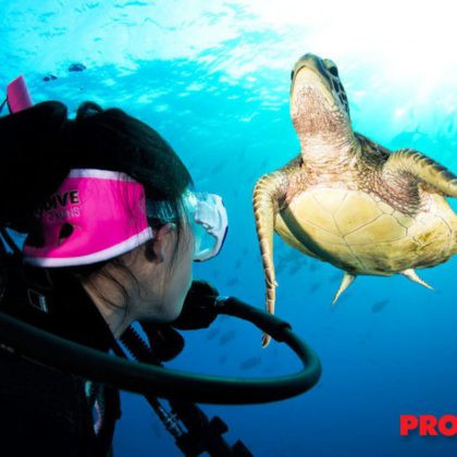 PADI Learn to Dive Cairns Great Barrier Reef (6)