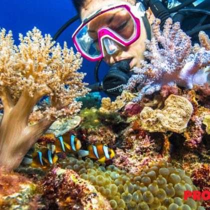 Learn to Dive Cairns Great Barrier Reef (7)