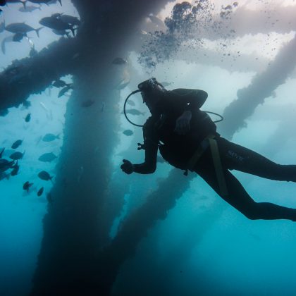 Navy Pier - Diver