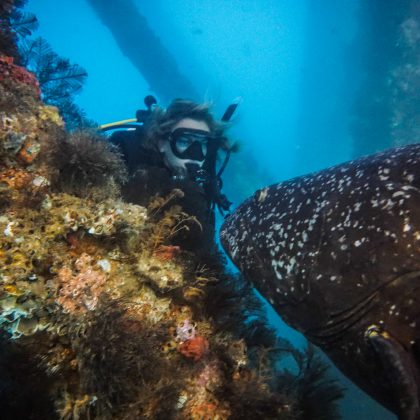 Navy Pier - Diver and Grouper