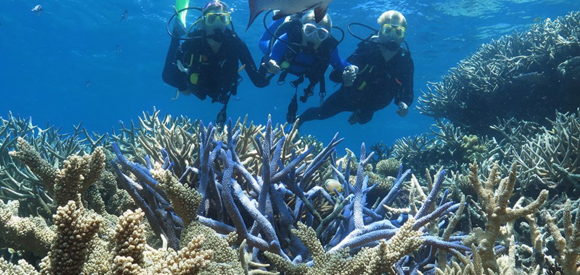 Cairns-outer-barrier-reef-learn-to-dive-courses