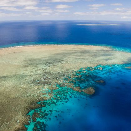 silversonic reef aerial
