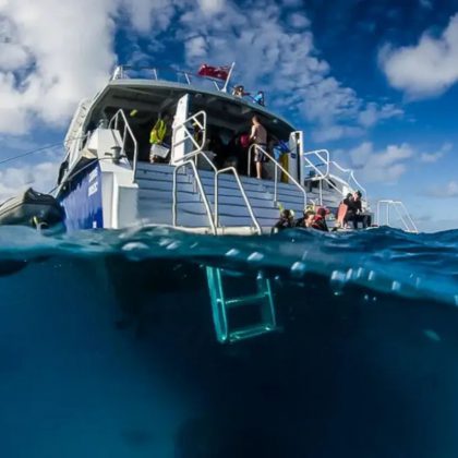 silversonic snorkelling