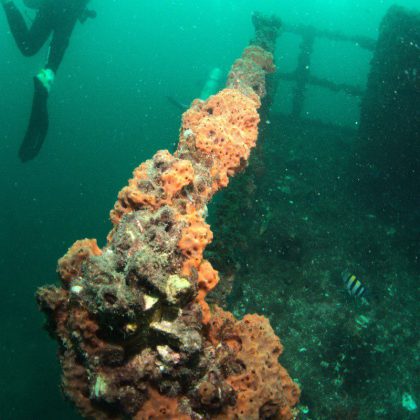 HMAS Brisbane Shipwreck