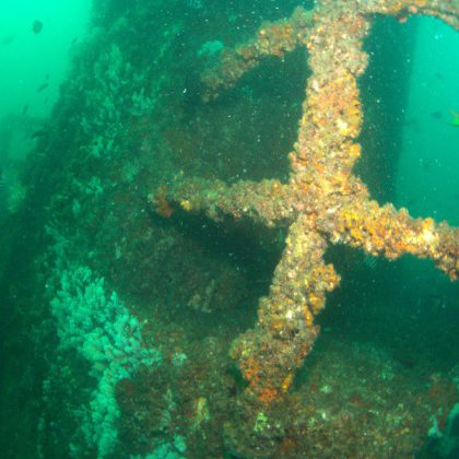 HMAS Brisbane Shipwreck