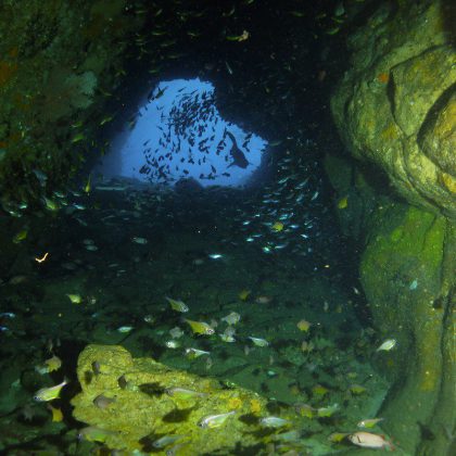 Dive in Australia - Fish Rock Cave II