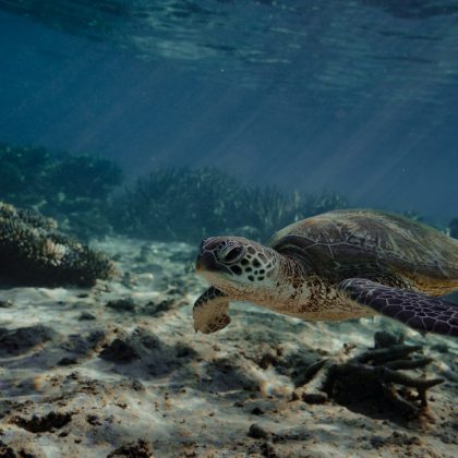 photo-1688736040156-96bbf73dba09