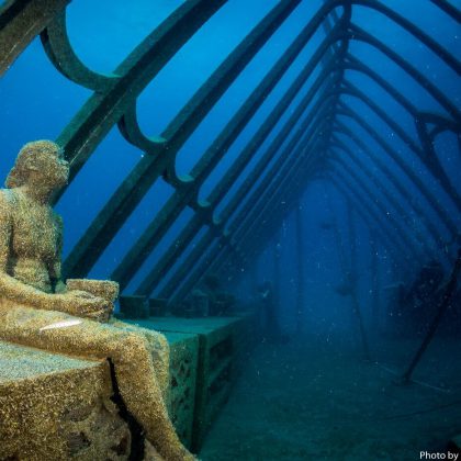 MattCurnock2020-MOUA 2