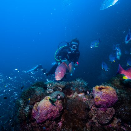 SSYongala with Diver