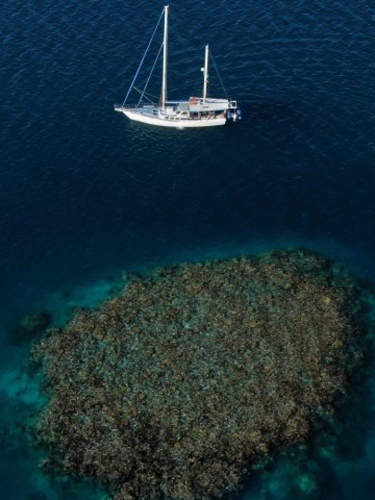 Kiana - Great Barrier Reef