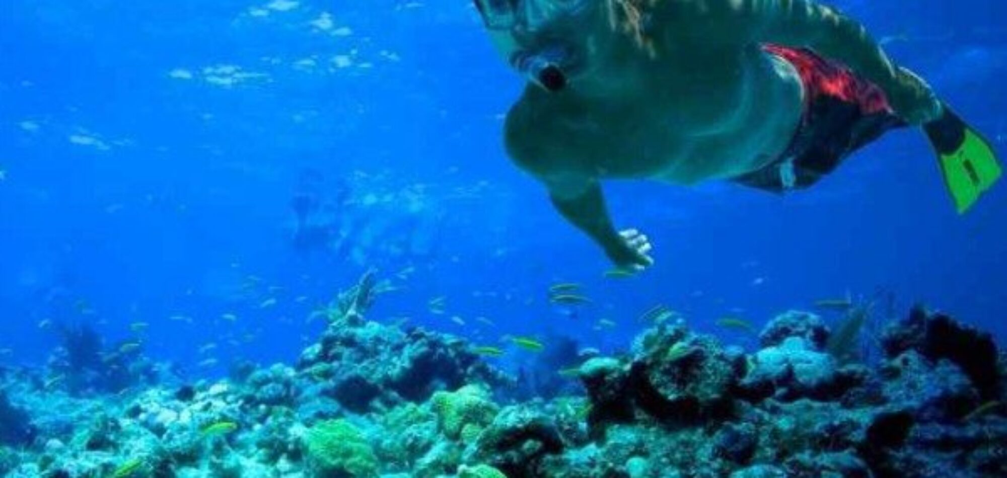 Snorkelling reefs in the Whitsunday Islands
