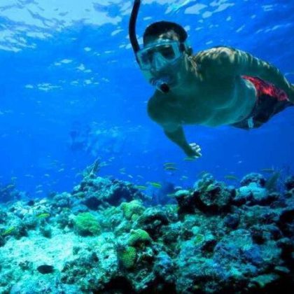 Snorkelling reefs in the Whitsunday Islands