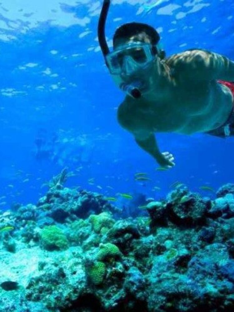 Snorkelling reefs in the Whitsunday Islands