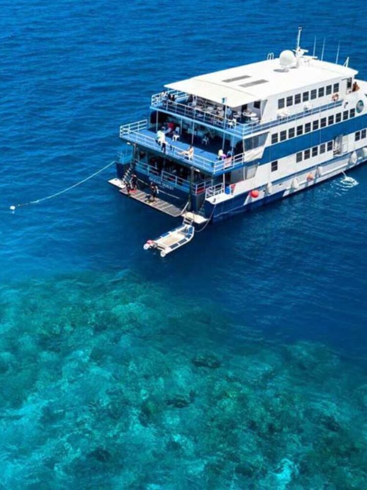 Best Cairns Liveaboard Trips: Your 2025 Guide to Diving the Great Barrier Reef