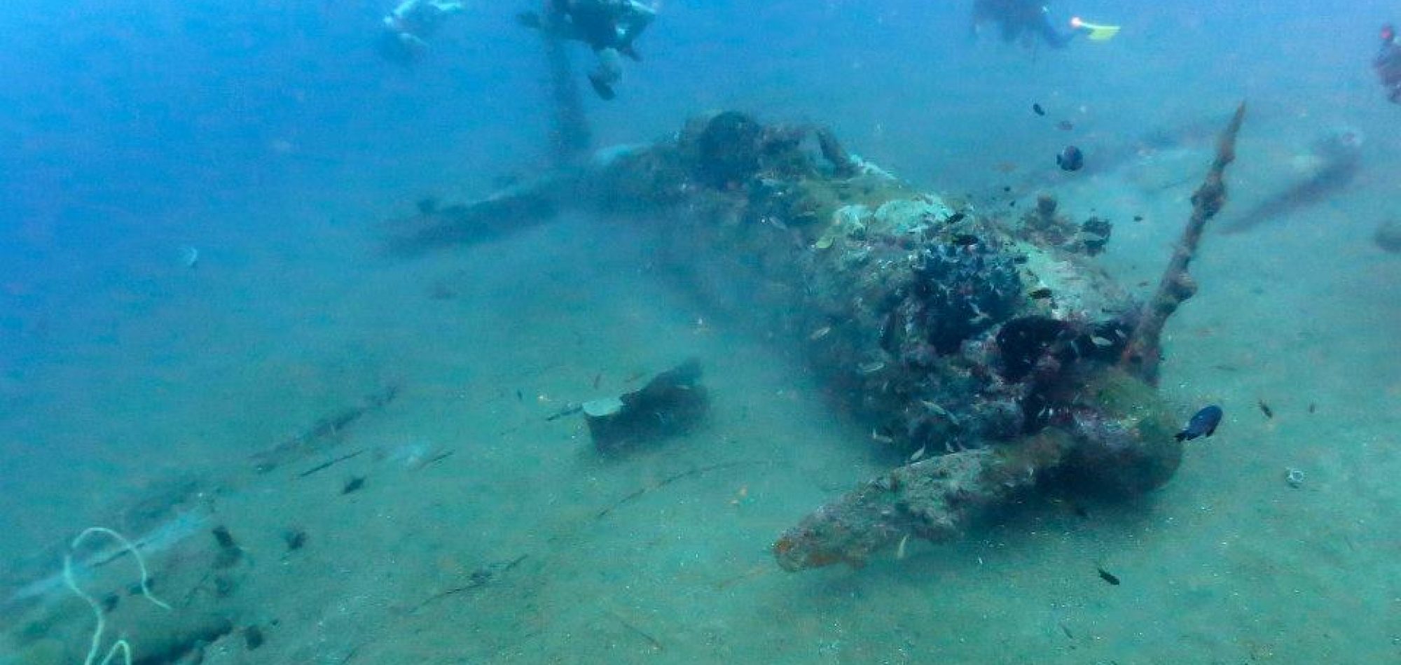 Advanced diving to 30 metres