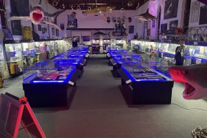 Rodney Fox Museum